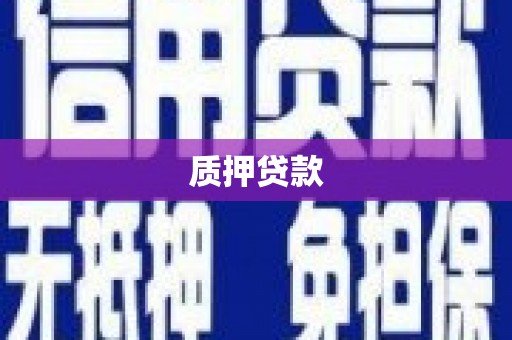 英德质押贷款