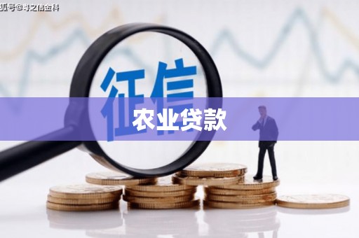 英德农业贷款