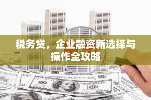 英德税务贷，企业融资新选择与操作全攻略
