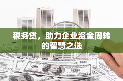 英德税务贷，助力企业资金周转的智慧之选