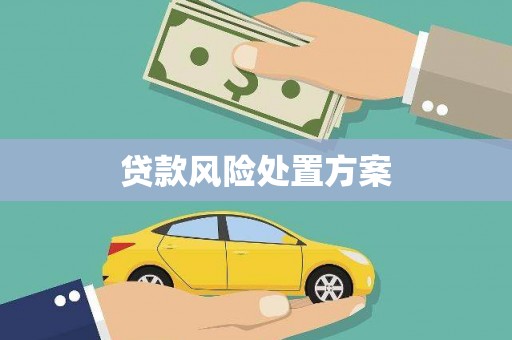 英德贷款风险处置方案