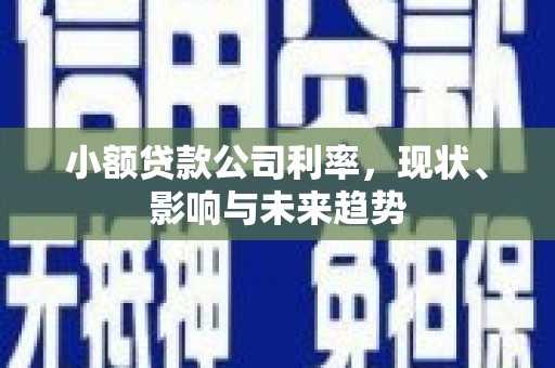 英德小额贷款公司利率，现状、影响与未来趋势
