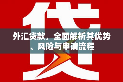 英德外汇贷款，全面解析其优势、风险与申请流程