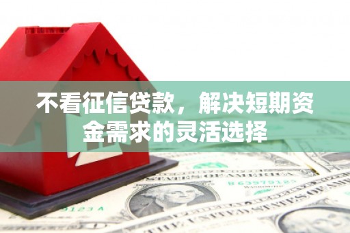 英德不看征信贷款，解决短期资金需求的灵活选择