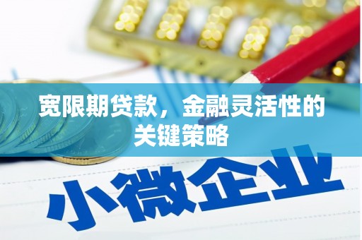 英德宽限期贷款，金融灵活性的关键策略