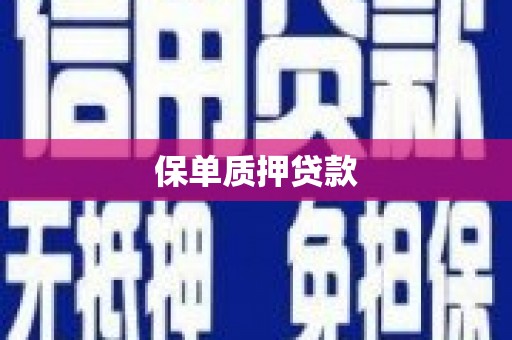 英德保单质押贷款