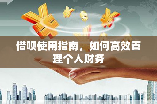 英德借呗使用指南，如何高效管理个人财务