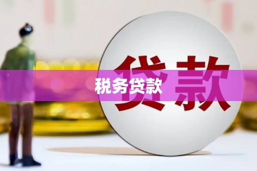 英德税务贷款