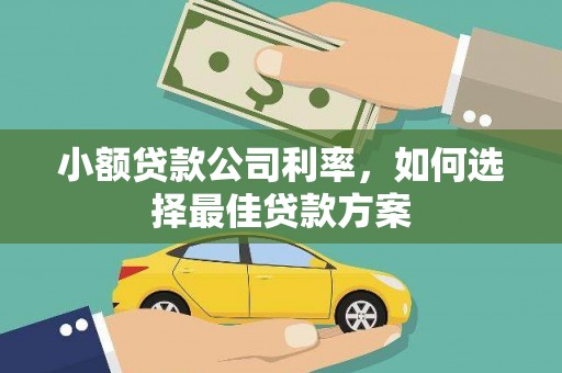 英德小额贷款公司利率，如何选择最佳贷款方案