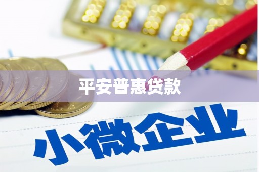 英德平安普惠贷款