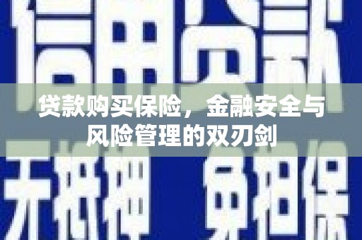 英德贷款购买保险，金融安全与风险管理的双刃剑