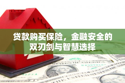 英德贷款购买保险，金融安全的双刃剑与智慧选择