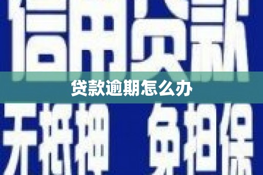 英德贷款逾期怎么办
