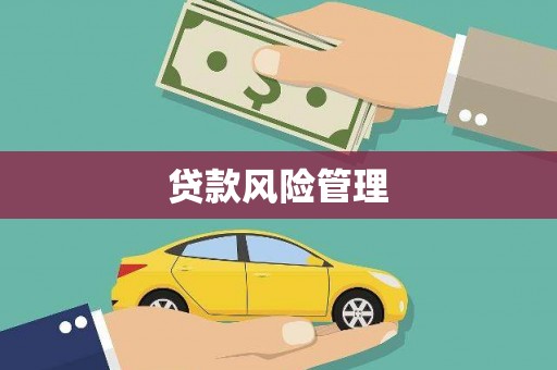 英德贷款风险管理