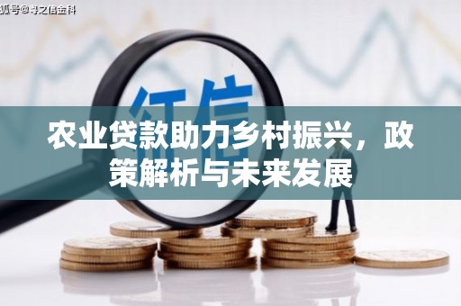 英德农业贷款助力乡村振兴，政策解析与未来发展