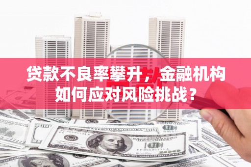 英德贷款不良率攀升，金融机构如何应对风险挑战？