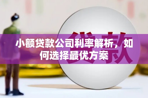英德小额贷款公司利率解析，如何选择最优方案