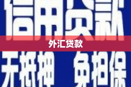 英德外汇贷款