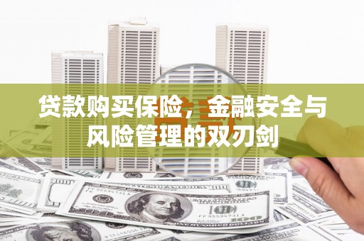 英德贷款购买保险，金融安全与风险管理的双刃剑