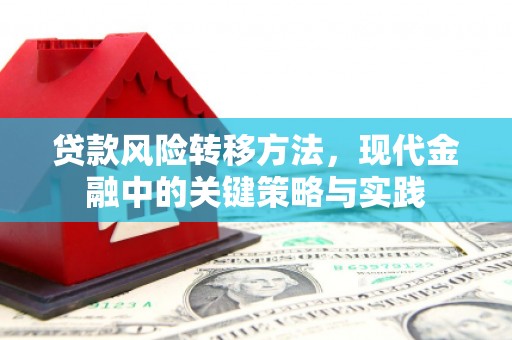 英德贷款风险转移方法，现代金融中的关键策略与实践