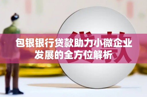 英德包银银行贷款助力小微企业发展的全方位解析 英德包银银行贷款助力小微企业发展的全方位解析