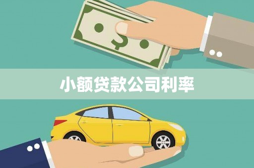 英德小额贷款公司利率