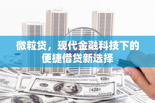 英德微粒贷，现代金融科技下的便捷借贷新选择