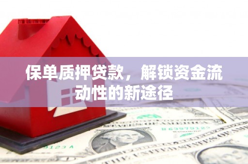 英德保单质押贷款，解锁资金流动性的新途径