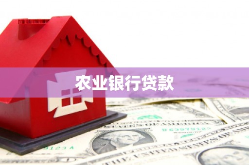 英德农业银行贷款