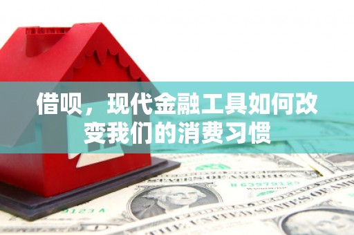 英德借呗，现代金融工具如何改变我们的消费习惯
