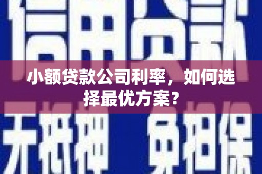 英德小额贷款公司利率，如何选择最优方案？