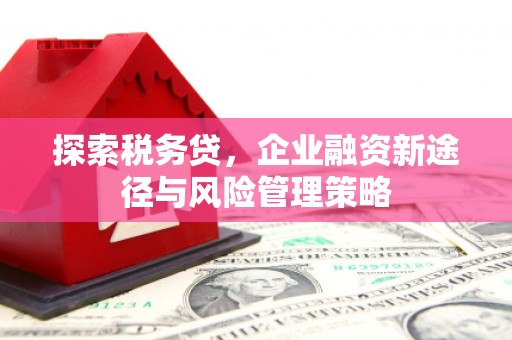 英德探索税务贷，企业融资新途径与风险管理策略