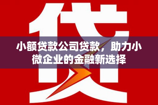 英德小额贷款公司贷款，助力小微企业的金融新选择