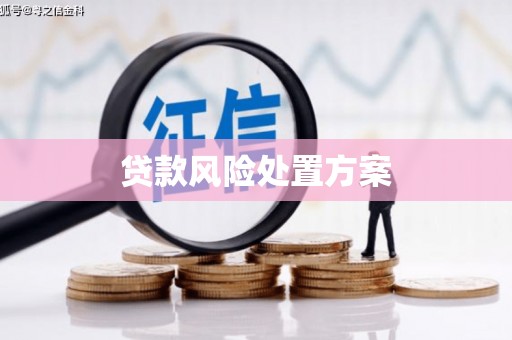 英德贷款风险处置方案