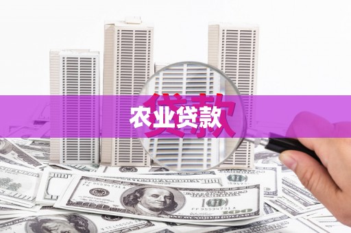 英德农业贷款