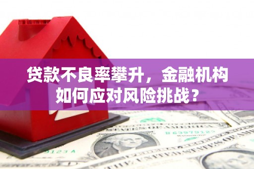 英德贷款不良率攀升，金融机构如何应对风险挑战？