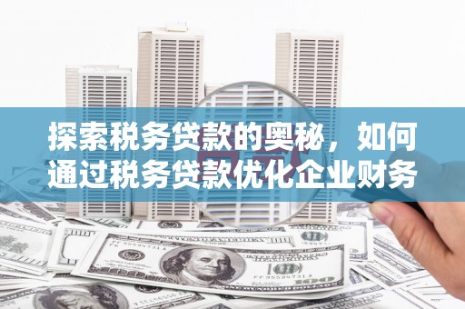 英德探索税务贷款的奥秘，如何通过税务贷款优化企业财务