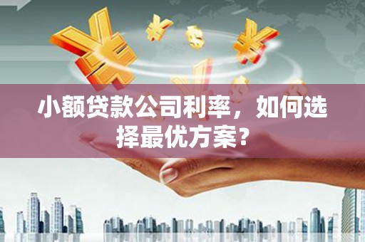 英德小额贷款公司利率，如何选择最优方案？