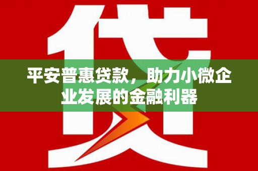 英德平安普惠贷款，助力小微企业发展的金融利器