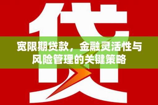 英德宽限期贷款，金融灵活性与风险管理的关键策略