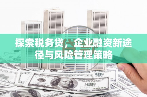 英德探索税务贷，企业融资新途径与风险管理策略