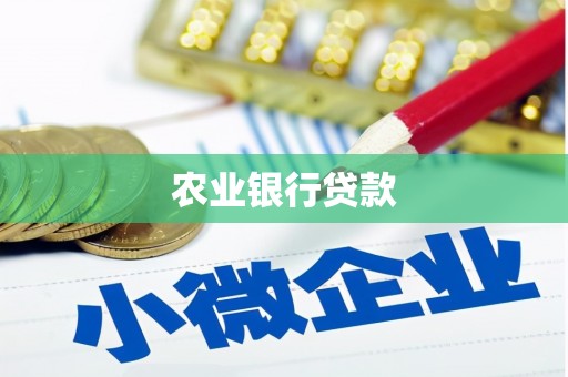 英德农业银行贷款