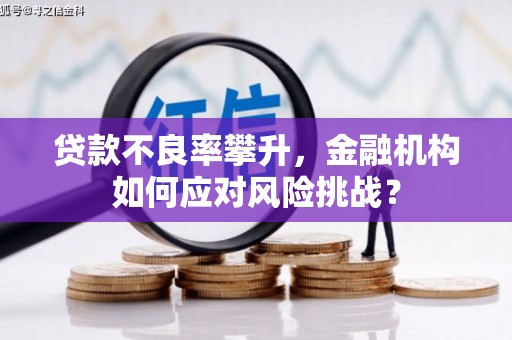 英德贷款不良率攀升，金融机构如何应对风险挑战？