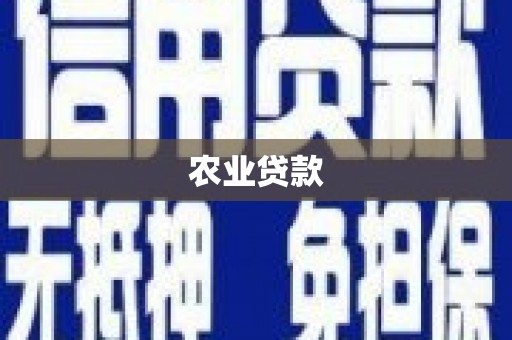 英德农业贷款
