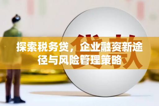 英德探索税务贷，企业融资新途径与风险管理策略