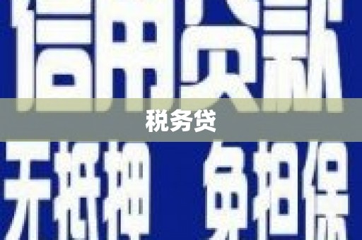 英德税务贷