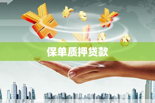 英德保单质押贷款