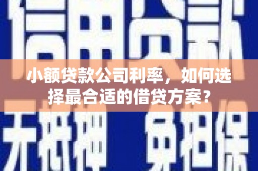 英德小额贷款公司利率，如何选择最合适的借贷方案？