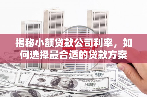英德揭秘小额贷款公司利率，如何选择最合适的贷款方案