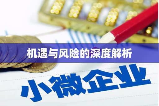 英德机遇与风险的深度解析